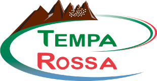 logo TALENT SOLUTIONS S.R.L. 